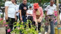 Indira Yusuf Ismail Tanam Pohon Tabebuya untuk Teduhkan Makassar